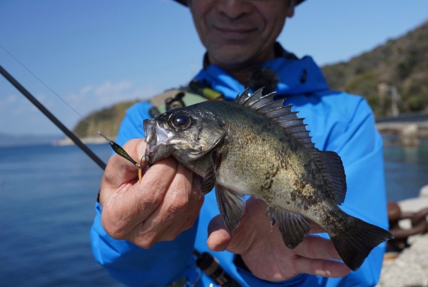 NAZZOJIG 実釣イメージ